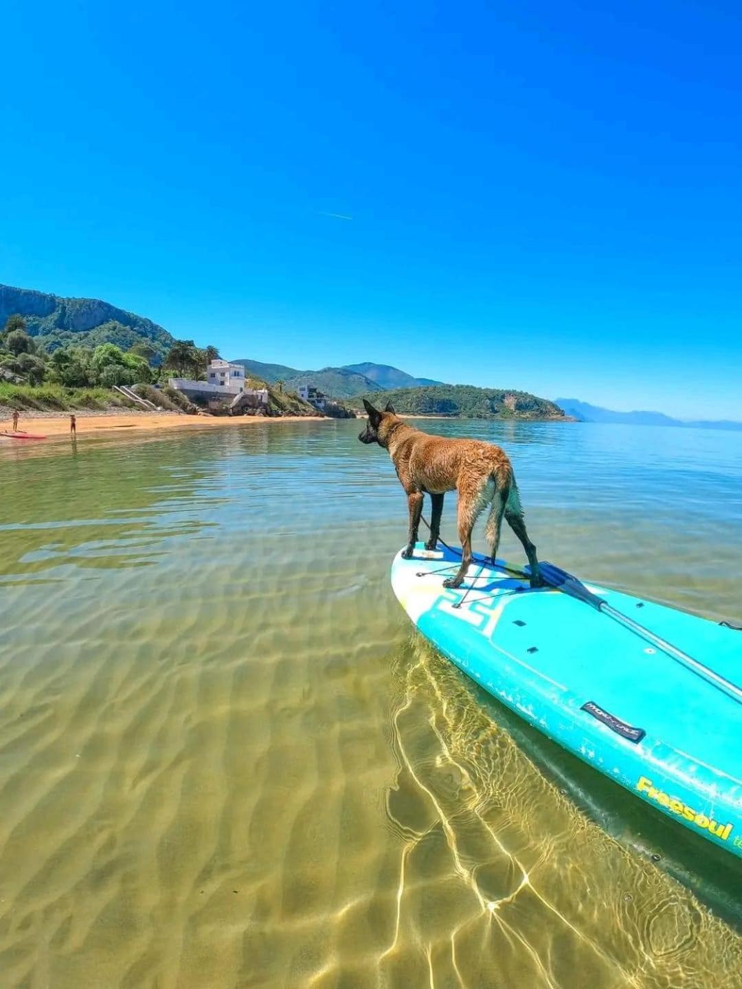 Hotel Plage D'Or Jijel Exteriér fotografie